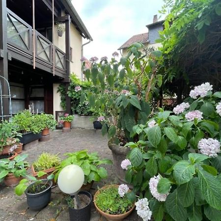 Apartment Gerberbachviertel Weinheim Eksteriør billede