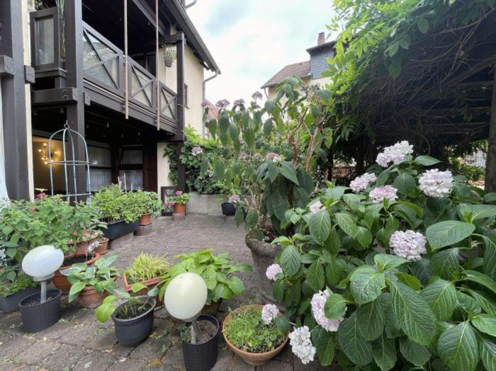 Apartment Gerberbachviertel Weinheim Eksteriør billede