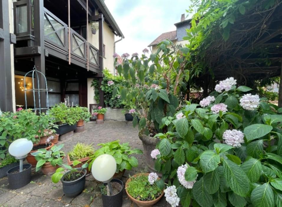 Apartment Gerberbachviertel Weinheim Eksteriør billede